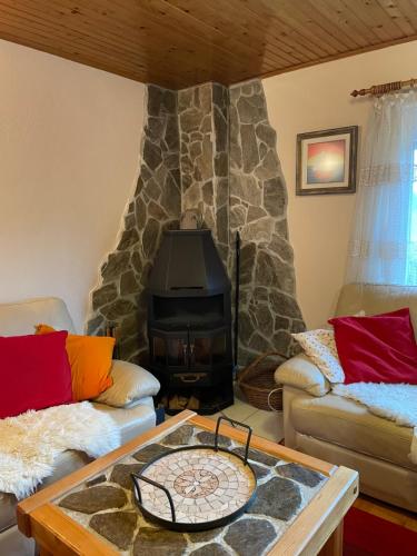 ŠoštanjVintage Holiday House的客厅设有石头壁炉及两张沙发