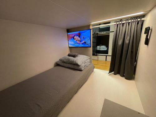 卢布尔雅那Sleep&Go Hostel Ljubljana的一间卧室设有一张带平面电视的床。