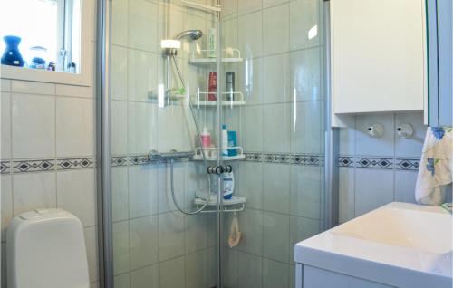 UtåkerLovely Home In Utker With Wifi的带淋浴、卫生间和盥洗盆的浴室