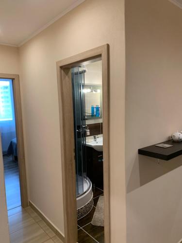 特尔纳瓦Apartment TT11的带淋浴、卫生间和镜子的浴室
