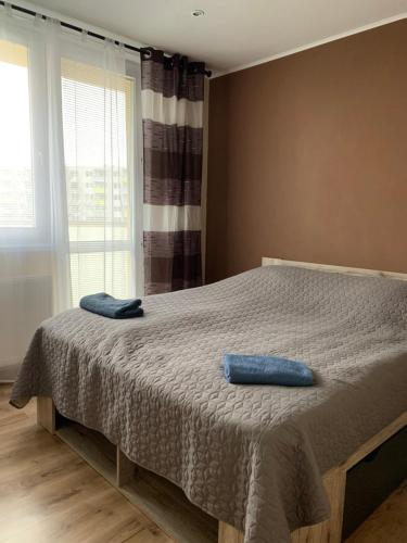 特尔纳瓦Apartment TT11的一间卧室配有一张带蓝色枕头的床