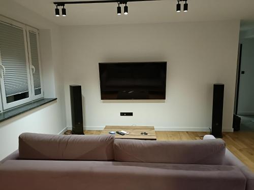 戈尔利采Apartament 3 Maja 4的带沙发和平面电视的客厅