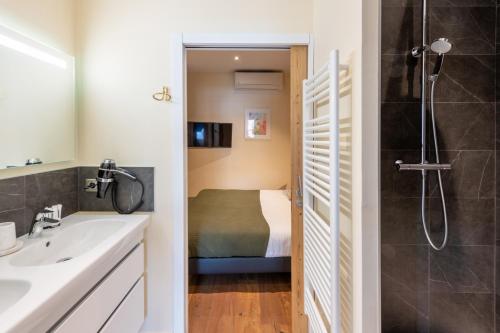 安锡ALPES Annecy Rent Lodge的一间带水槽和淋浴的浴室以及一张床