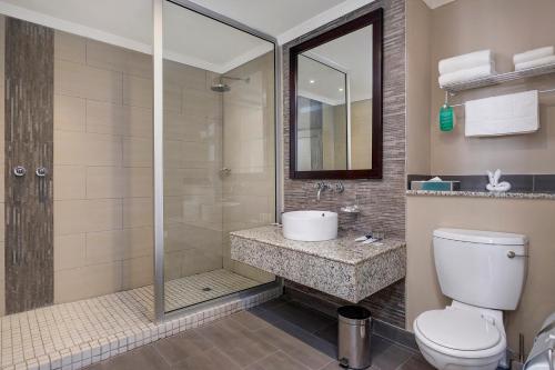 卢萨卡卢萨卡塔普罗提酒店的带淋浴、卫生间和盥洗盆的浴室
