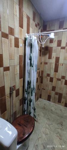 BarcelosEL DORADO POUSADA的一间带卫生间和淋浴帘的浴室