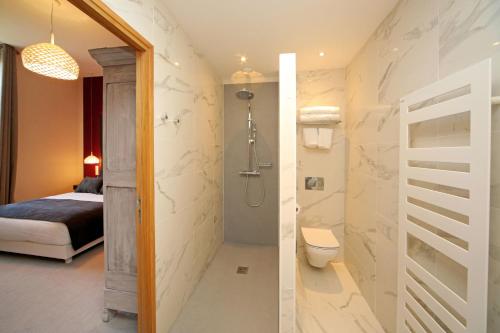 Saint-Sulpice多迈纳恩法戈酒店的带淋浴和卫生间的浴室。