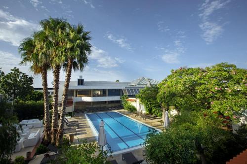 乌真托ROBINSON APULIA - All Inclusive的享有棕榈树游泳池的顶部景致