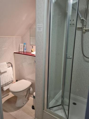 布里克瑟姆Brookside Guest House & Mini Spa的一间带卫生间和玻璃淋浴间的浴室