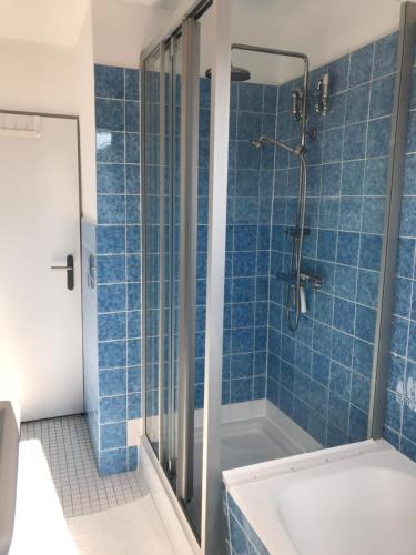 埃肯弗德Ferienwohnung Sonnendeck的蓝色瓷砖浴室配有淋浴和浴缸。