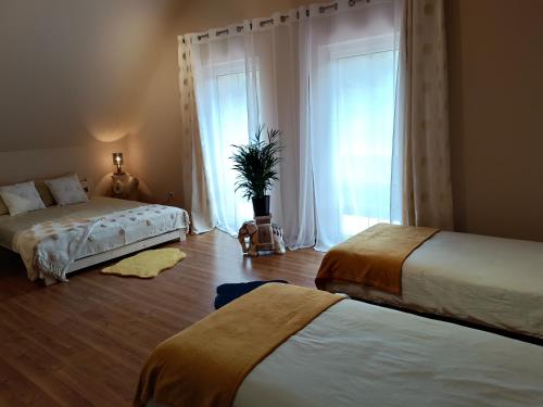 MichałkowaSłoneczny dom的一间卧室设有两张床和窗户。