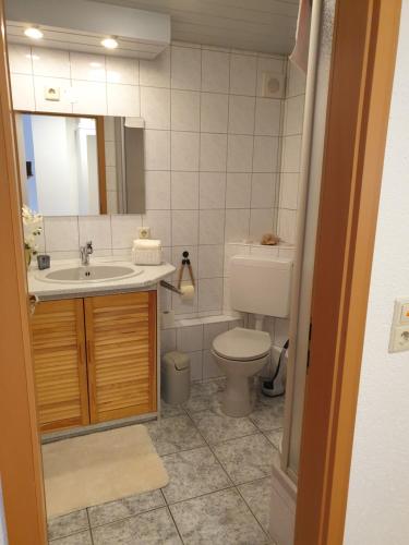 奥贝里德Schwarzwaldglück Apartment的一间带水槽、卫生间和镜子的浴室