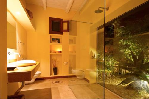 法维尼亚纳Cave Garden villa的带淋浴、卫生间和植物的浴室