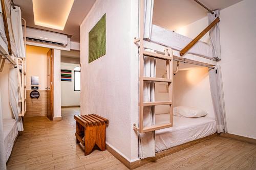 坎昆Nomads Party Hostel的带两张双层床的客房和走廊