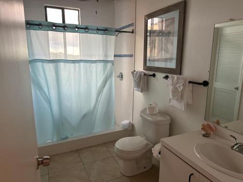 马弗利马弗利酒店的带淋浴、卫生间和盥洗盆的浴室