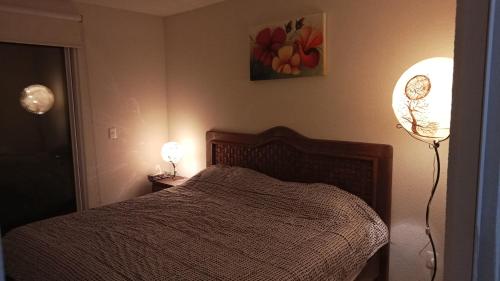 TlayecacConfortable casa de descanso para fin de semana的一间卧室配有床、灯和绘画