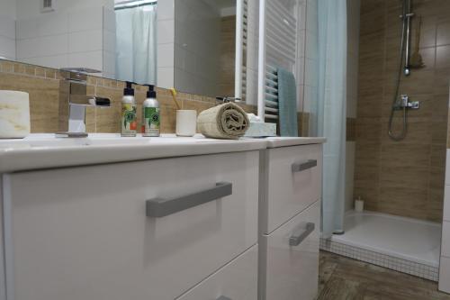 苏希采Apartmán U Josefa的白色的浴室设有水槽和淋浴。
