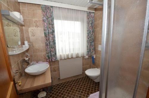 蒂罗尔-泽费尔德斯比格尔膳食公寓酒店的一间带卫生间和水槽的小浴室