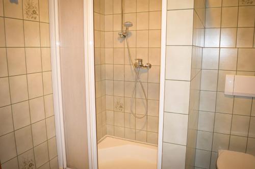 莫斯堡Villa Viola的带淋浴的浴室和玻璃门