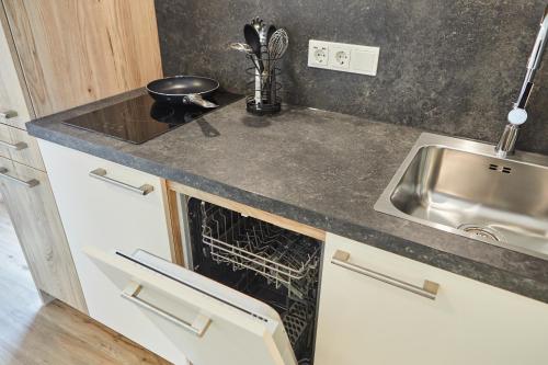 GerstungenVR-Serviced Apartments Gerstungen的厨房柜台设有水槽和洗碗机。