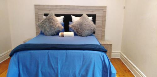 彼得马里茨堡Fabulous guest house的一间卧室配有蓝色的床、蓝色床单和枕头