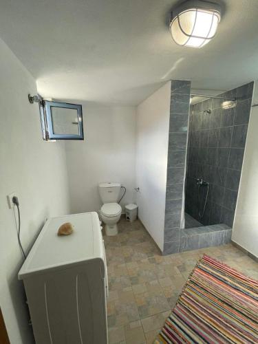 孔蒂亚斯Kontias stonehouse 2的一间带卫生间和淋浴的浴室