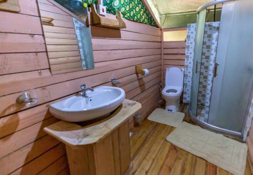 RuhondoRuhondo Island Retreat的一间带水槽和卫生间的浴室