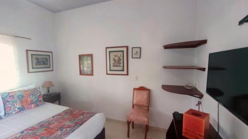 拉特瓦伊达Balsora Hotel Boutique的一间卧室配有一张床、一台电视和一把椅子