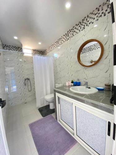 沃利迪耶Latifa house的一间带水槽、卫生间和镜子的浴室