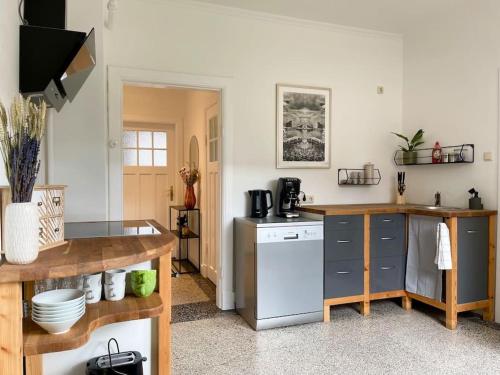 埃尔姆斯霍恩Modern und ruhig in Elmshorn的一个带水槽和洗碗机的厨房