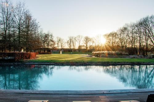 布鲁克赫伊曾Het Hilkensberg Park的公园里的一个池塘,太阳在后面