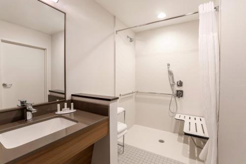 珊瑚角Fairfield by Marriott Inn & Suites Cape Coral North Fort Myers的一间带水槽和淋浴的浴室