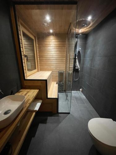 萨斯费Chalet Tannegg的带淋浴、卫生间和盥洗盆的浴室