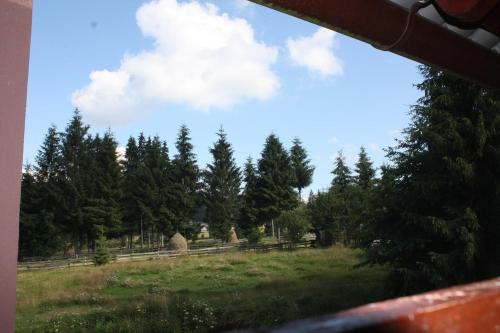 阿列谢尼Pensiunea Valea Galbenei的从树木繁茂的田野的火车窗欣赏风景