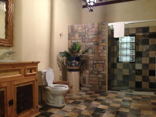 普埃布拉Hotel Travel的一间带卫生间和植物的浴室