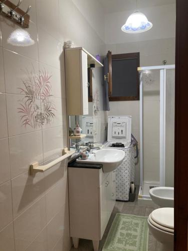 特乌拉达al Sulcis 35的一间带水槽和卫生间的小浴室