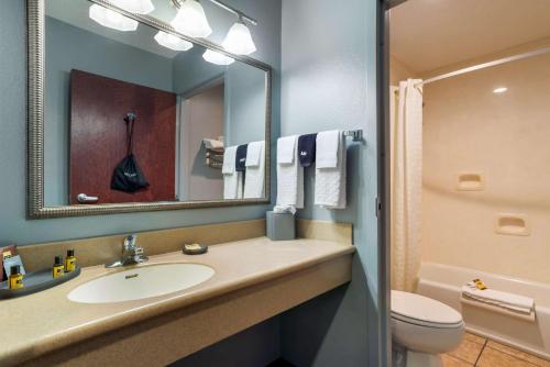 DemopolisBest Western Plus Two Rivers Hotel & Suites的一间带水槽、卫生间和镜子的浴室