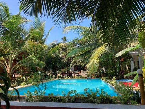 本托塔La Perla Bentota的棕榈树度假村前的游泳池
