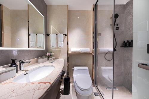 宁波宁波火车站柳汀街亚朵X酒店的一间带水槽、卫生间和淋浴的浴室