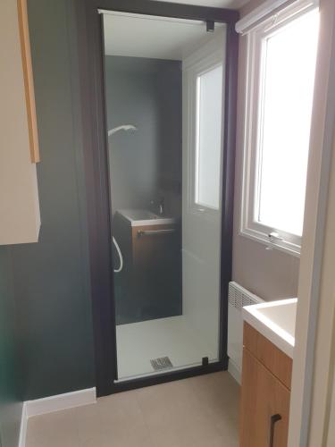 圣让-德蒙Camping du Bois Dormant的带淋浴、盥洗盆和镜子的浴室