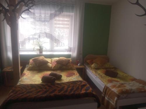 JugówHanter5的卧室在窗户前配有两张床