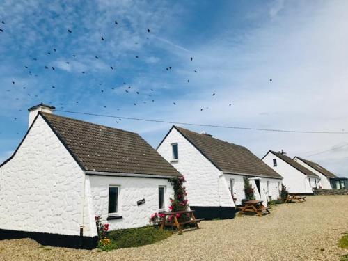 敦贝格Doonbeg Holiday Cottages的一群鸟飞在天空中的白色建筑