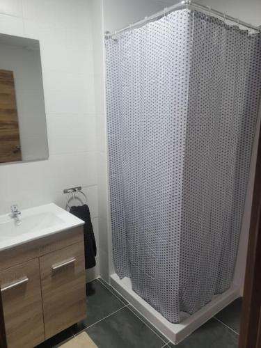 毕尔巴鄂Apartamento kuko con wifi al lado metro的带淋浴和盥洗盆的浴室