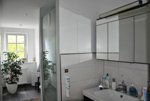 维尔茨堡Wunderschöne Loft-Stadtwohnung的白色的浴室设有水槽和淋浴。