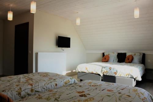 弗尔内Bibi's Boerderij的客房设有两张床和一台墙上的电视。