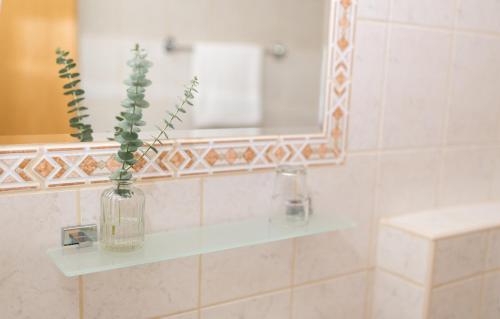 格拉马特诺伊锡德尔HOTEL MARIA的浴室里装有玻璃花瓶,里面装有植物