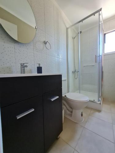 维库尼亚Cabañas y Loft Parronal的浴室配有卫生间、淋浴和盥洗盆。