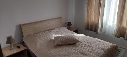 PecineagaZander House的一间卧室配有一张床、两盏灯和一个窗户。