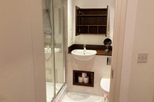 克罗伊登Superb Apartment CR0的一间带玻璃淋浴和水槽的浴室