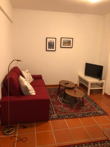 卡尔达斯达·赖尼亚Apartamento - Casas dos Infantes的客厅配有红色沙发和电视