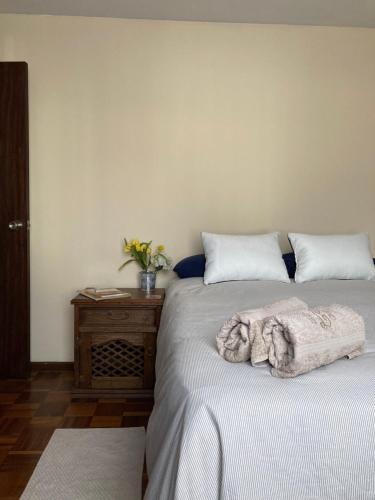 Departamento acogedor en la mejor zona de La Paz客房内的一张或多张床位
